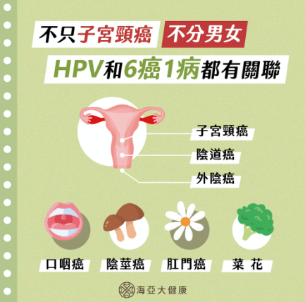 HPV病毒與6癌1病有關聯